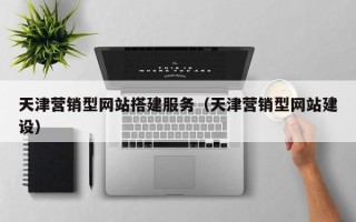 泰州天津营销型网站搭建服务（天津营销型网站建设）