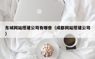 泰州东城网站搭建公司有哪些（成都网站搭建公司）